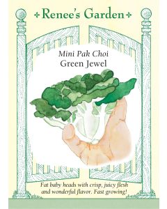 Brassica, Pak Choi, Green Jewel ~ 545 seeds