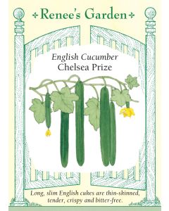 Cucumis, English Cucumber, Chelsea Prize, ~ 12 seeds