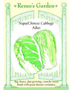 Brassica, Napa Cabbage, Aiko ~ 85 seeds