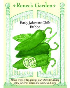 Capsicum, Pepper (Hot), Early Jalapeño Chile Bubba ~ 21 seeds