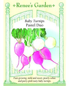 Brassica, Turnip Mix, Pastel Duo ~ 425 seeds
