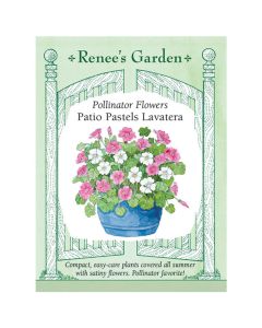 Lavatera, Rose Mallow 'Patio Pastels' ~ 95-100 seeds