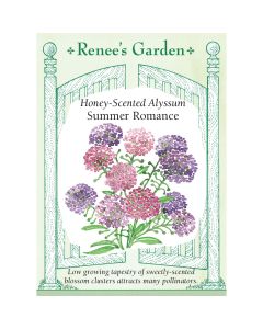 Lobularia, Alyssum Mix 'Summer Romance' ~ 500 seeds