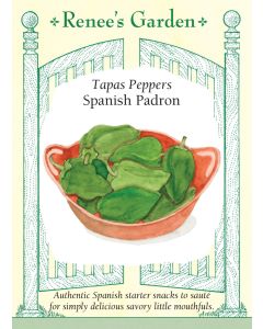 Capsicum, Pepper (Sweet), Tapas Spanish Padron ~ 20 seeds