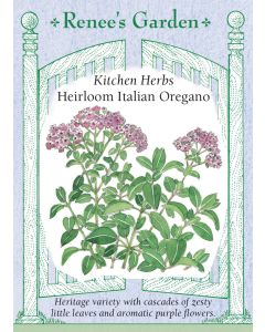 Origanum, Italian Oregano, ~ 1000 seeds