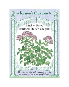 Origanum, Italian Oregano Heirloom ~ 1000 seeds