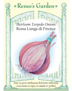 Allium, Onion, Rossa Lunga di Firenze ~ 400 seeds