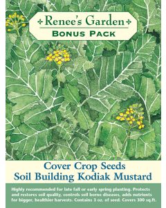 Brassica, Kodiak Mustard Cover Crop Seeds, Bonus Pack, ~ 300 sqft