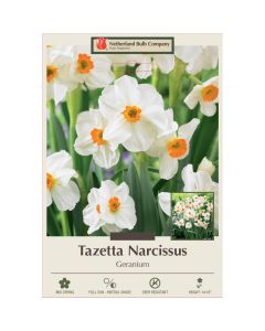 Narcissus, Tazetta 'Geranium'