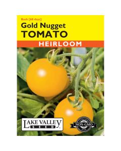 Solanum, Tomato (Bush) 'Gold Nugget'