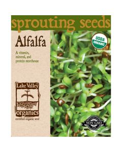 Sprouting Seeds 'Alfalfa'