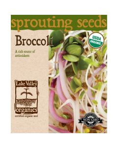 Sprouting Seeds 'Broccoli'