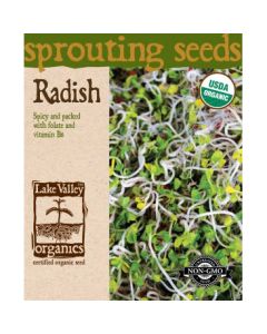 Raphanus, Radish 'Sprouting Seeds' 