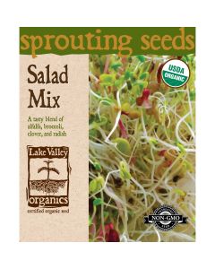 Sprouting Seeds 'Salad Mix' (Alfalfa, Broccoli, Clover, Radish)