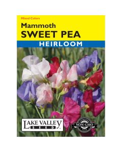Lathyrus, Sweet Pea Mix 'Mammoth' Heirloom