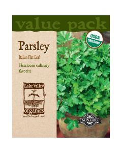 Petroselinum, Parsley 'Italian Flat Leaf' Value Pack