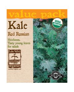 Brassica, Kale 'Red Russian' Value Pack