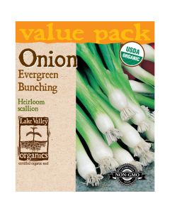 Allium, Scallion Onion 'Evergreen Bunching' Organic Heirloom Value Pack