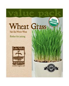 Triticum, Wheat Grass 'Hard Red Winter' Value Pack