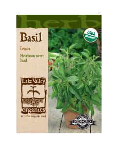 Ocimum, Basil 'Lemon' Organic Heirloom