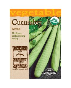 Cucumis, Armenian Cucumber Organic Heirloom