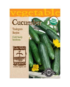 Cucumis, Cucumber Burpless 'Tendergreen' Organic Heirloom