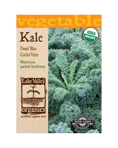 Brassica, Kale 'Blue Curled Vates' Organic Heirloom