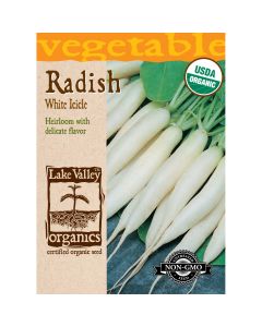 Raphanus, Icicle Radish 'White' Organic Heirloom