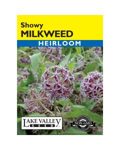 Asclepias, Showy Milkweed (Western Native) Heirloom