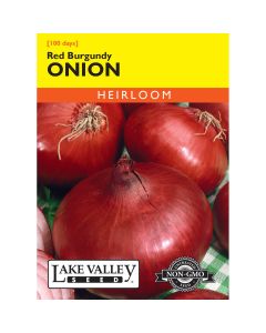 Allium, Onion Red 'Burgundy' (Short Day)