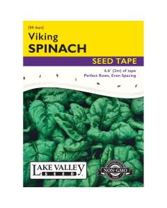 Spinacia, Spinach 'Viking' Seed Tape 6.6ft