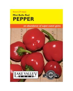 Capsicum, Sweet Pepper 'Mini Belle'