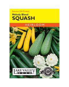 Cucurbita, Summer Squash Mix 'Melody Blend'