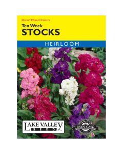 Matthiola, Stocks Mix 'Ten Week' Heirloom