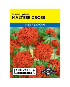 Lychnis, Maltese Cross 'Scarlet' Heirloom