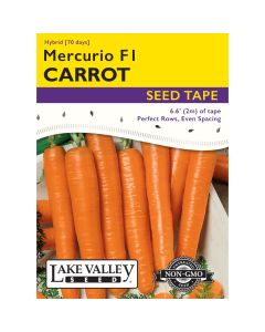 Daucus, Carrot Nantes 'Mercurio F1' Hybrid Seed Tape 6.6 ft