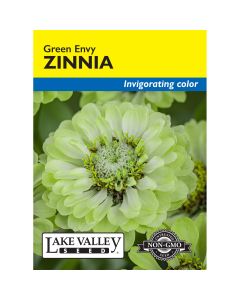 Zinnia 'Green Envy'