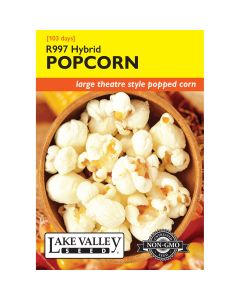 Zea, Popcorn 'R997' Hybrid