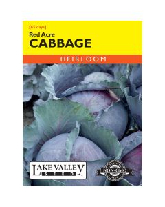 Brasscia, Cabbage 'Red Acre'