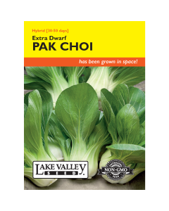 Brassica, Pak Choi/Bok Choy 'Extra Dwarf' Hybrid