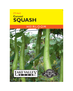 Lagenaria, Gourd 'Cucuzzi' Heirloom