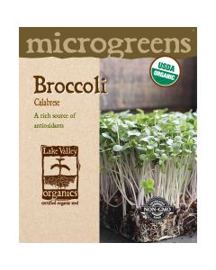 Microgreens, Broccoli 'Calabrese'