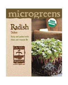 Microgreens, Radish 'Daikon'