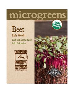 Microgreens, Beet 'Early Wonder'
