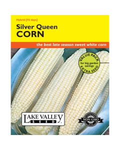 Zea, Sweet Corn (Late) 'Silver Queen' Hybrid