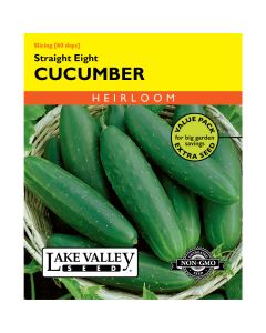 Cucumis, Cucumber 'Straight Eight' Value Pack