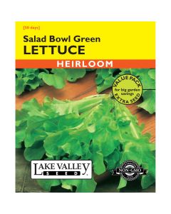 Lactuca, Lettuce 'Salad Bowl Green' Value Pack