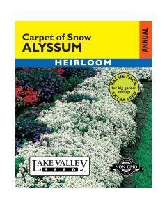 Lobularia, Alussum 'Carpet of Snow' Heirloom Value Pack