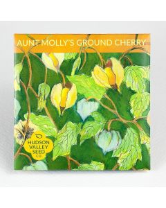 Physalis, Ground Cherry 'Aunt Molly's'