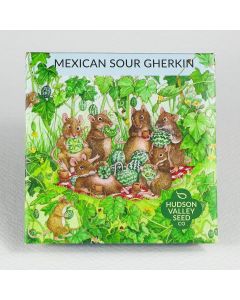 Melothria, Mexican Sour Gherkin ~ 50 seeds